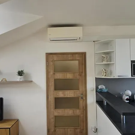 Tereza Apartment Kutna Hora